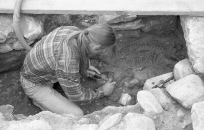 Clearing a horse burial in the amphitheatre